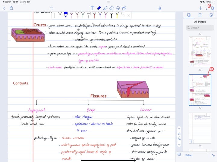 Screenshot showing the Page icon options in Notability.